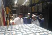 صدور کد صادراتی IR در یک کارخانه تولید کنسرو ماهی در استان مرکزی