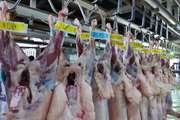 37 هزار و 869 تن گوشت در کشتارگاه‌ های استان مرکزی استحصال شد