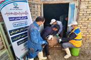 رزمایش تخصصی جهاد دامپزشکی شهرستان اراک برگزار شد