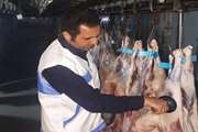 نظارت بر تولید و استحصال بیش از یک هزار و 400 تن گوشت در شهرستان خمین 