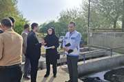 بازدید مشترک دامپزشکی، شهرداری و مرکز بهداشت از کشتارگاه دام شازند
