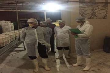 بازدید از کشتارگاه های طیور شهرستان ساوه