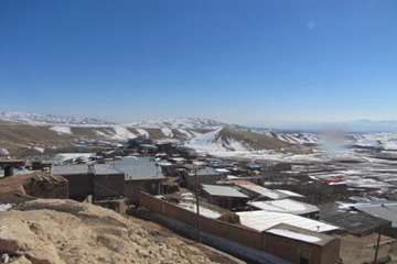 ارائه خدمات رایگان توسط شبکه دامپزشکی ساوه به مناسبت دهه فجر