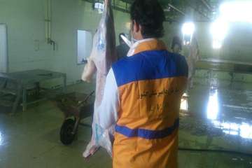 نظارت بهداشتی بر دامهای کشتاری به مناسبت عید سعید قربان