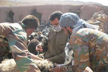 دهه مبارک فجر