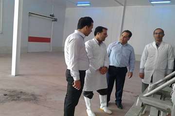 بازدید مدیرکل از کشتارگاه طیور در شازند