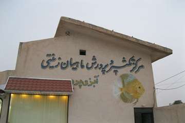 بازدید مدیران کل سازمان دامپزشکی کشور از شرکت پرورش ماهیان زینتی درمحلات