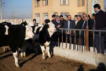 سفر وزير جهاد كشاورزي به استان مرکزی