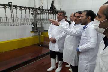 بازدید استاندار مرکزی از کشتارگاه طیور در شازند