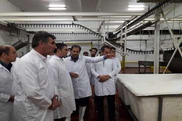 بازدید استاندار مرکزی از کشتارگاه طیور در شازند