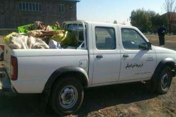 ضبط گوشت قرمز فاسد و پلمپ واحد متخلف