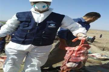 بازرسی بهداشتی عید قربان