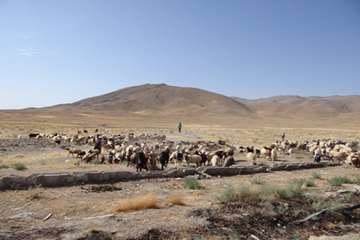 برگزاری تور مرحله دوم فیلم و عکاسی جشنواره بیطار در استان مرکزی