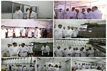 بازدید استاندار مرکزی از کشتارگاه طیور در شازند