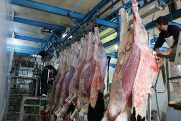 بازدید نماینده ولی فقیه در اداره کل دامپزشکی استان مرکزی از کشتارگاه دام ساوه