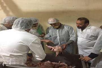 بازدید از کشتارگاه های طیور شهرستان ساوه