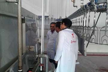 بازدید مدیرکل از کشتارگاه طیور در شازند