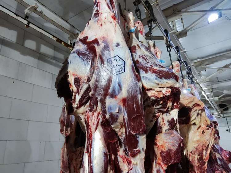 استحصال بیش از  57  هزار تن گوشت در کشتارگاه‌های استان مرکزی 