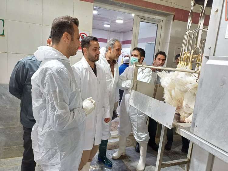 راه اندازی خط اتوماتیک استحصال گوشت سفید در استان مرکزی 