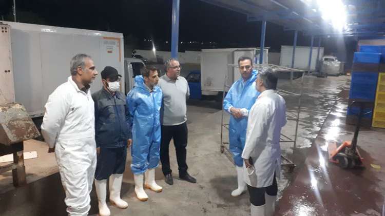 بررسی روند استحصال گوشت سفید در شهرستان خمین