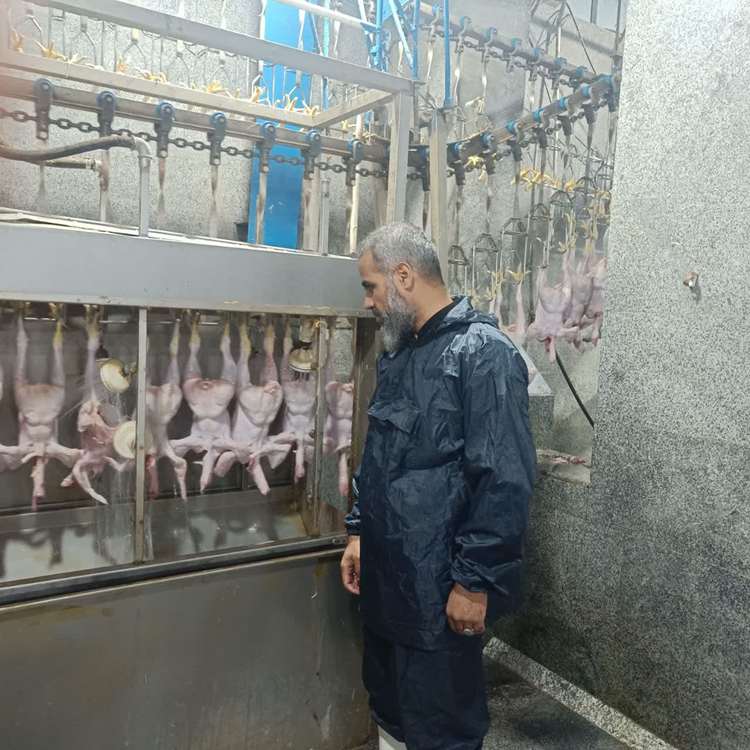 بازدید شبانه مسئول دفتر نمایندگی ولی‌فقیه دامپزشکی استان مرکزی از کشتارگاه طیور خمین