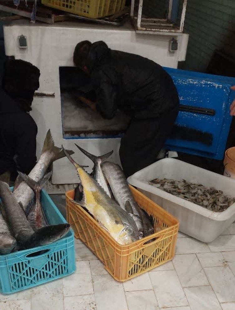 شناسایی و توقیف خودروی فروشنده ماهی دوره گرد در ساوه 