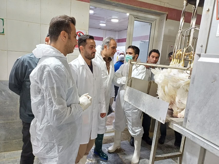 راه اندازی خط اتوماتیک استحصال گوشت سفید در استان مرکزی 
